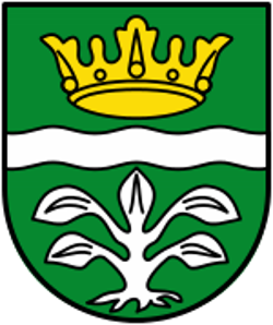 Mayen-Koblenz
